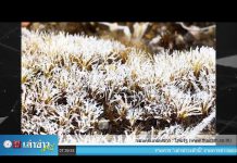 “เล่าข่าวเช้านี้” วันอังคาร ที่ 18 กุมภาพันธ์ 2563