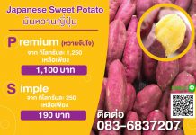 มันญี่ปุ่นเผา. หอม หวานมากกก