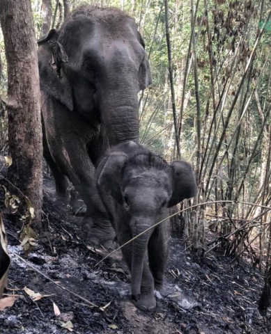 93175522_3157565750934147_2284255636000604160_o