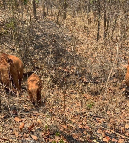 93277960_3157566017600787_6448982141853237248_n