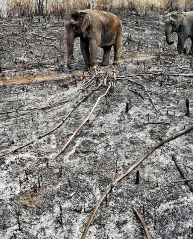 93491902_3157565634267492_385678283540267008_o