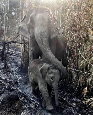 93520242_3157564980934224_7793599555982852096_o