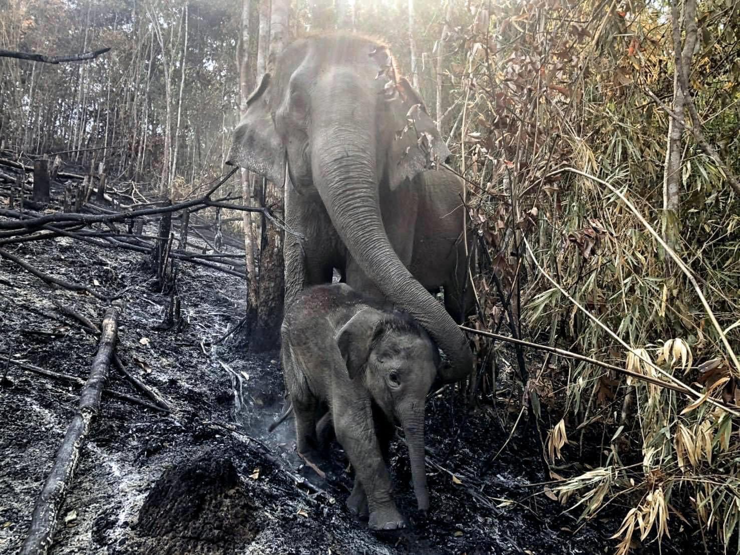 93520242_3157564980934224_7793599555982852096_o