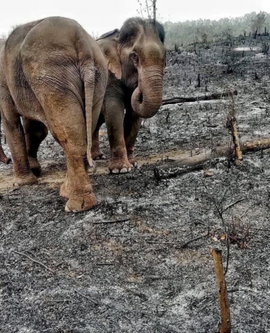 93550467_3157565237600865_3970864983624908800_o