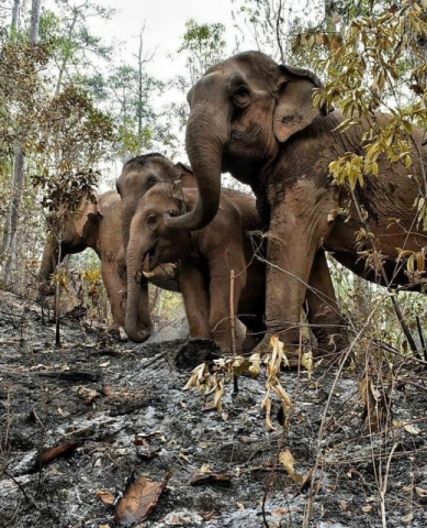 93778606_3157565114267544_1477287158606725120_n