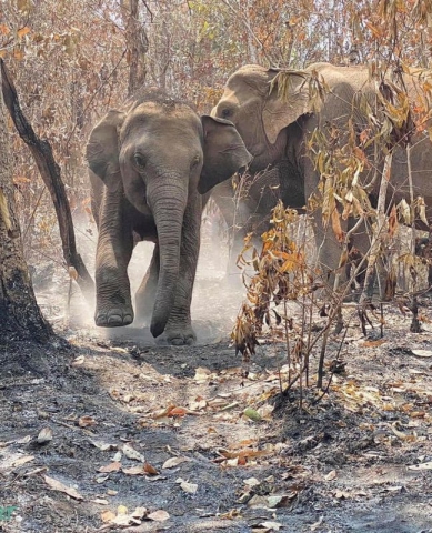 93802324_3157565507600838_8733100725447426048_o