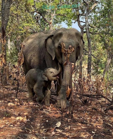 94246849_3157565987600790_7411848337134977024_o