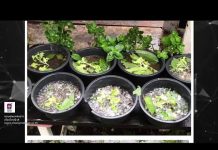 “เล่าข่าวเช้านี้” วันจันทร์ ที่ 11 พฤษภาคม 2563