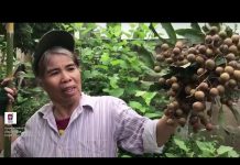 เล่าข่าวเช้านี้” วันจันทร์ ที่ 20 กรกฎาคม 2563