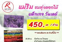 รูบี้พาเที่ยว 🌷🌹🌺🌼🌻 จุดเช็คอินยอดฮิต!!