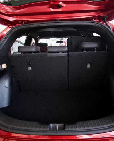 128402777_3808738099150239_1895199811070044341_o