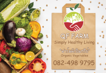 QF Organic Market สวนผักอินทรีย์ ปลอดยาฆ่าแมลง ใส่ใจในความสะอาด ความปลอดภัย