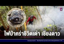 เล่าข่าวเช้านี้ วันจันทร์ ที่ 17 เมษายน 2566