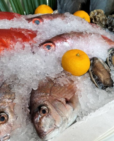 412456971_376530571403875_2911959723058010569_n