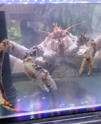 412489879_376530591403873_7788014085942865405_n