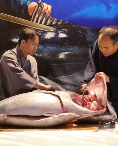 412655758_376530351403897_3203849875928615686_n