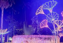 มหกรรมไม้ดอกไม้ประดับ ครั้งที่ 47