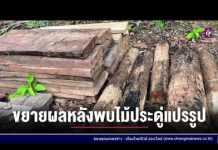 รายการเล่าข่าวเช้านี้ 11 มิถุนายน 2567