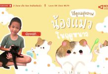 🧡 New Gen Mirror 🪞 “วิธีดูแลสุขภาพน้องแมว ในฤดูหนาว”