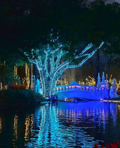 626769048_902207792169481_1455362148658758659_n