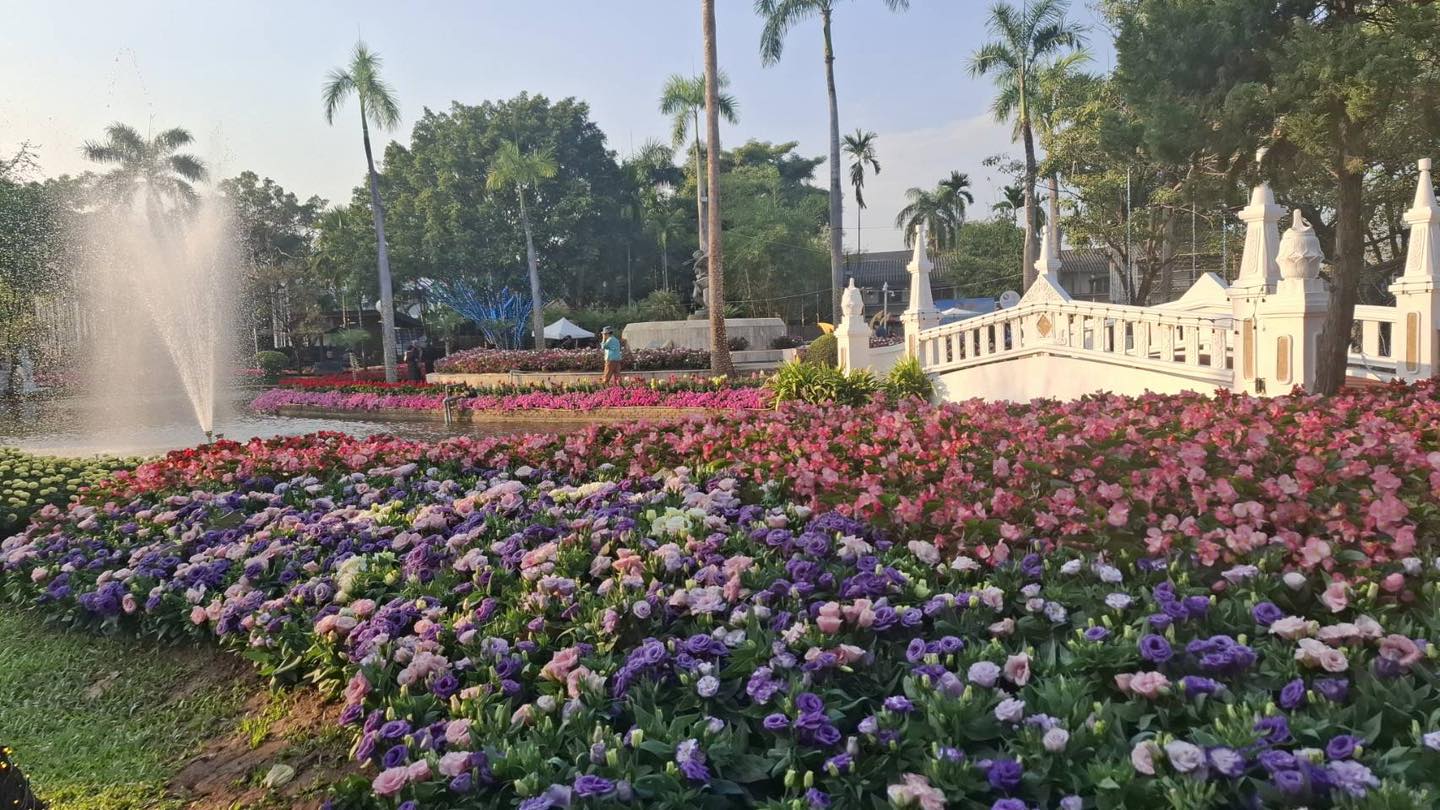 626770232_902207652169495_8177726653172128563_n