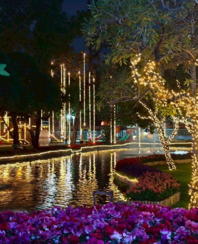 627667777_902207812169479_7782808629383525205_n