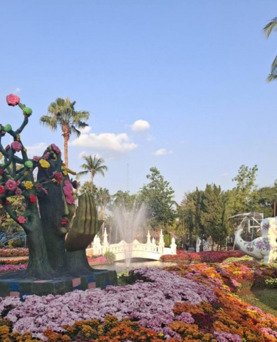 627695845_902207622169498_4662241743658226016_n