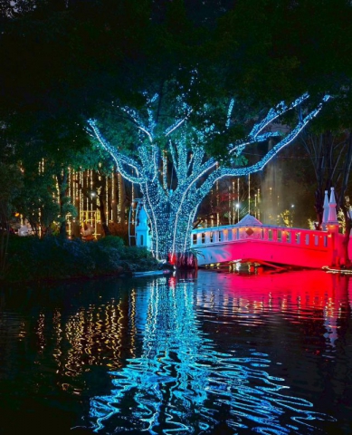 627698061_902207795502814_4556889985829975811_n