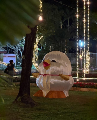 628073541_902207682169492_6261734665402723242_n