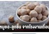 รายการเล่าข่าวเช้านี้ 16 มิถุนายน 2569